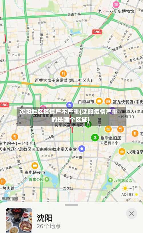 沈阳地区疫情严不严重(沈阳疫情严重的是哪个区域)-第2张图片