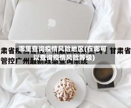 哪里查询疫情风险地区(在哪可以查询疫情风险等级)-第2张图片