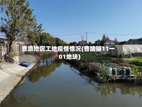 曹路地区工地疫情情况(曹路镇11一01地块)-第1张图片